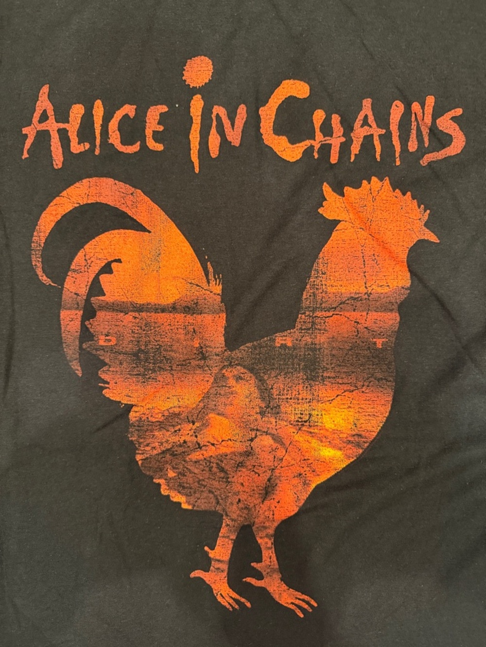 Custom Alice In Chains Roster Cropped Band Tee Women’s Size Small - Picture 2 of 4